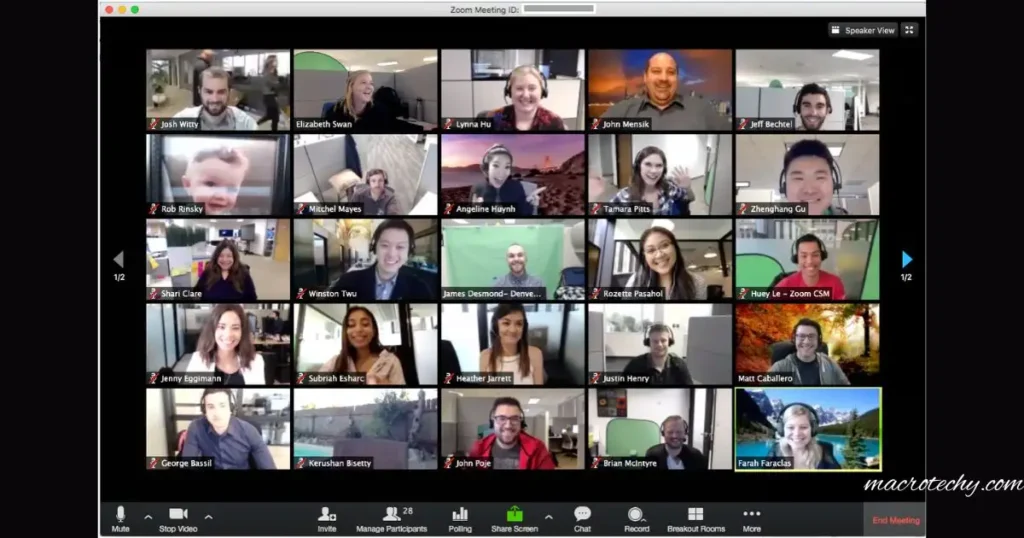 A screenshot of Zoom meeting in action.